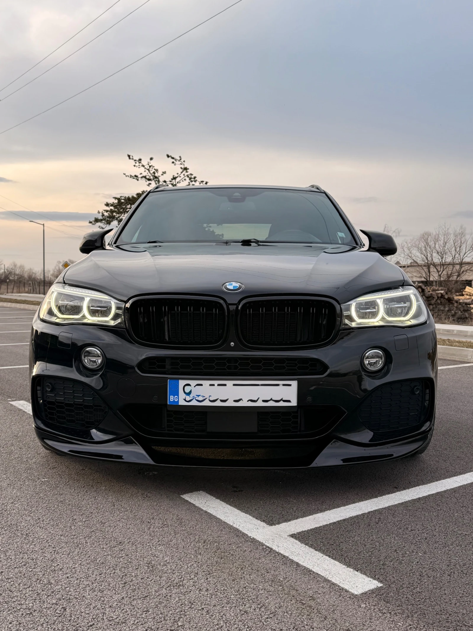 BMW X5 BMW X5 f15 5.0i