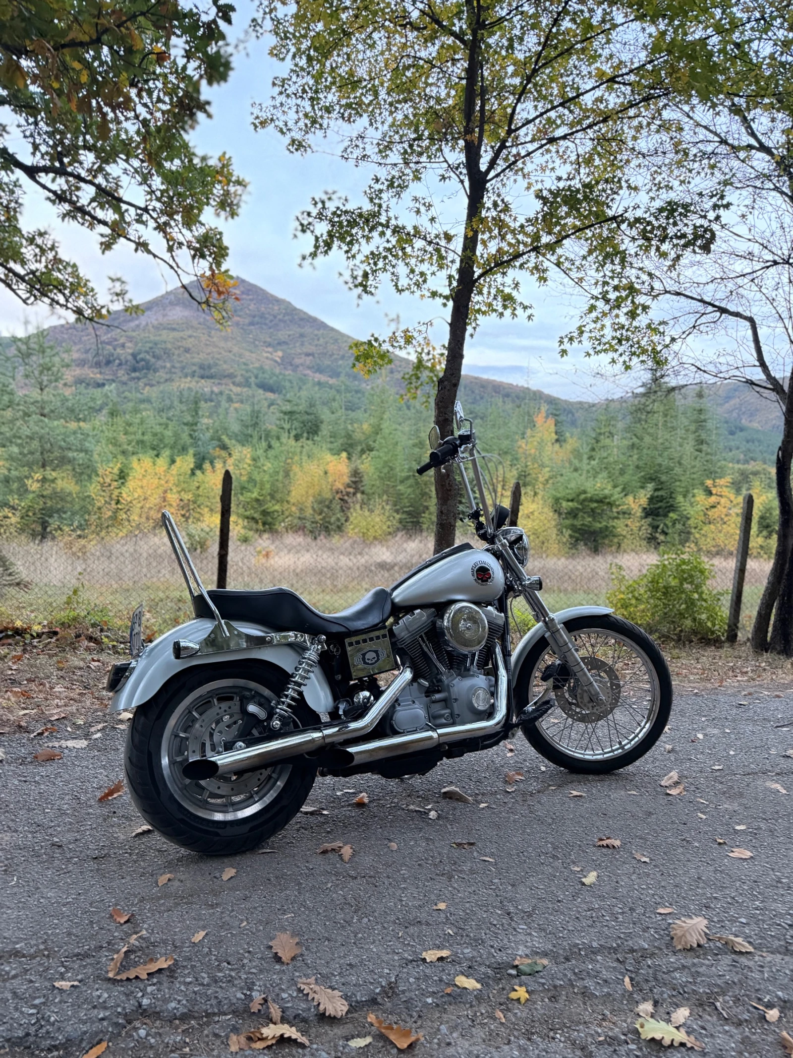 Harley-Davidson Dyna FXDI, снимка 4 - Мотоциклети и мототехника - 56458402