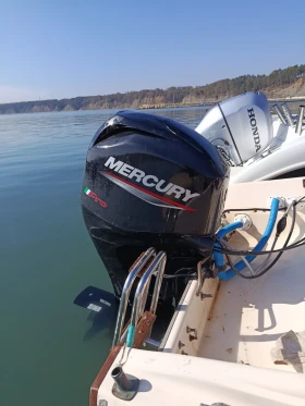 ������� ���� Shetland | Mobile.bg � ����� ������ 5