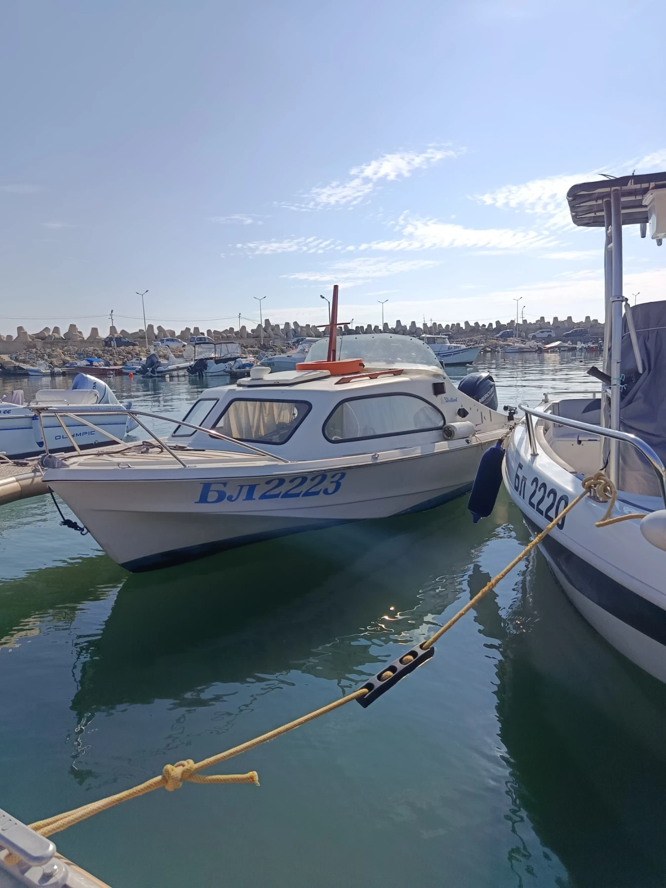 ������� ���� Shetland | Mobile.bg � ����������� 1