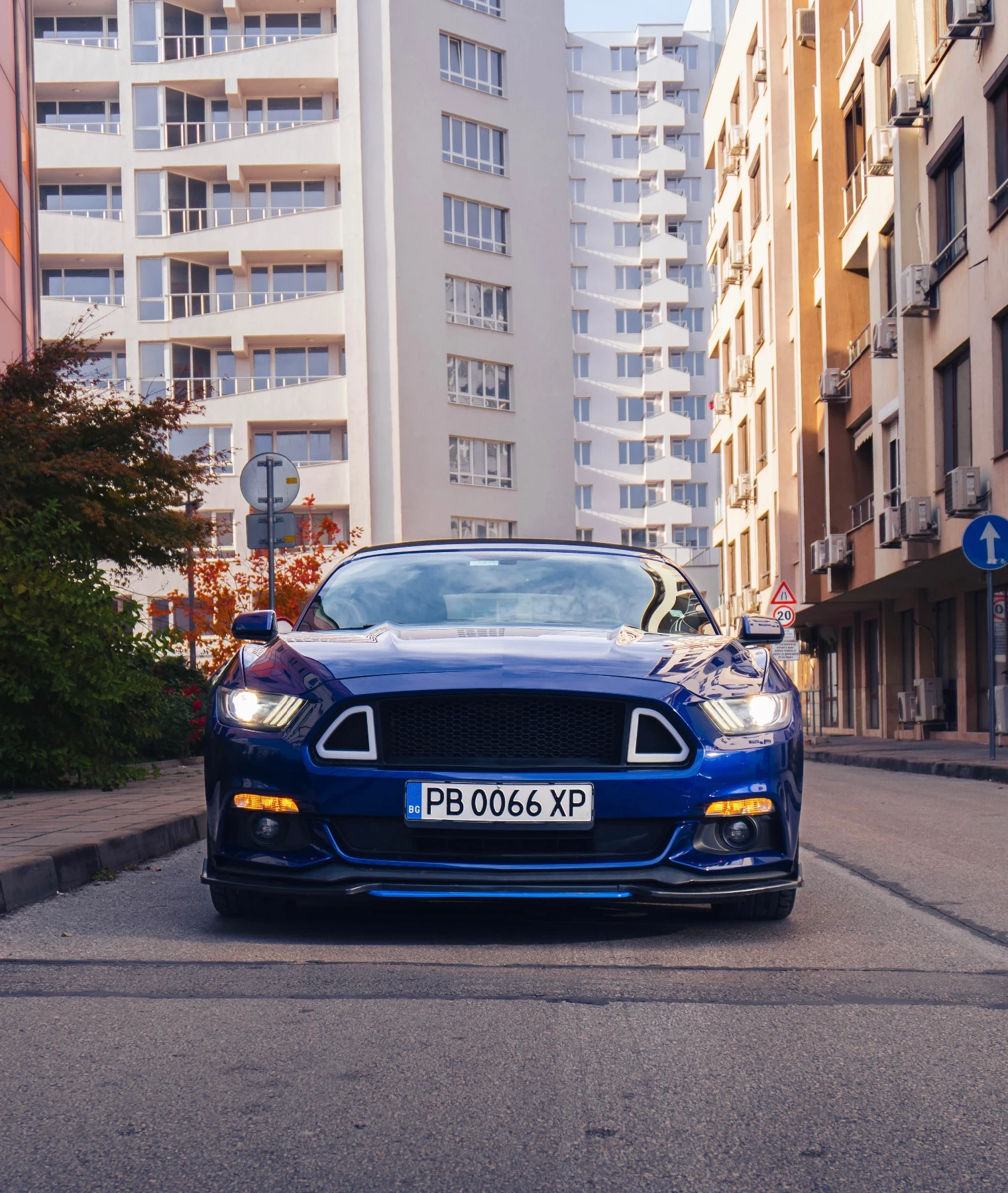 Ford Mustang 3.7 - изображение 3