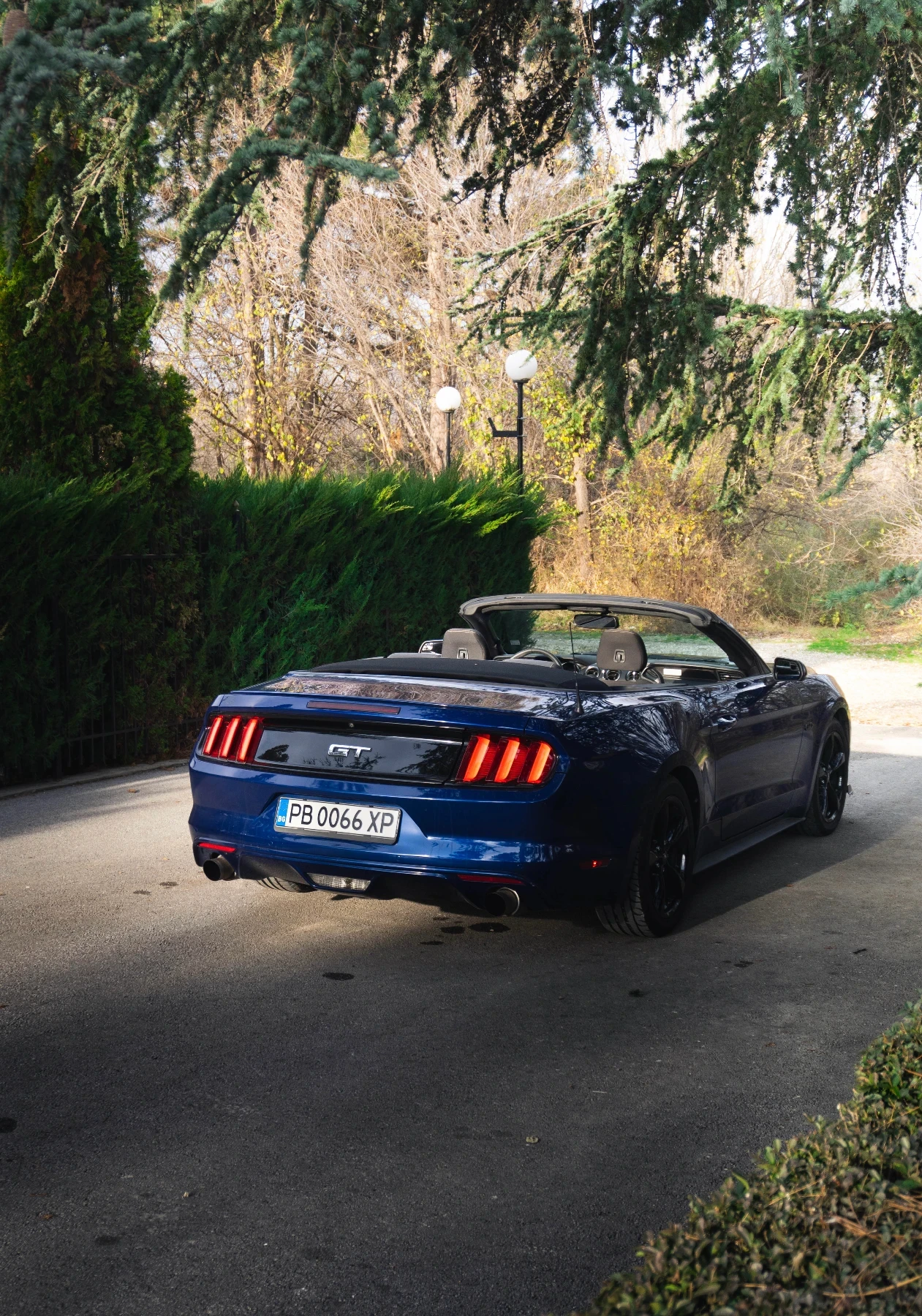 Ford Mustang 3.7 - изображение 5