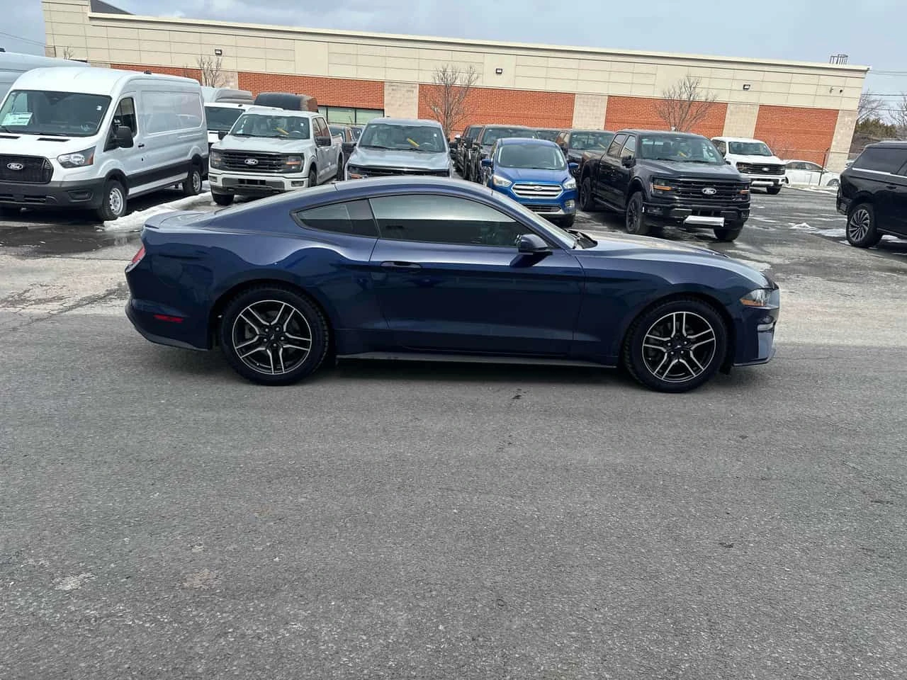 Ford Mustang * EcoBoost * CARFAX * ���� �� �� | Mobile.bg � ����������� 3