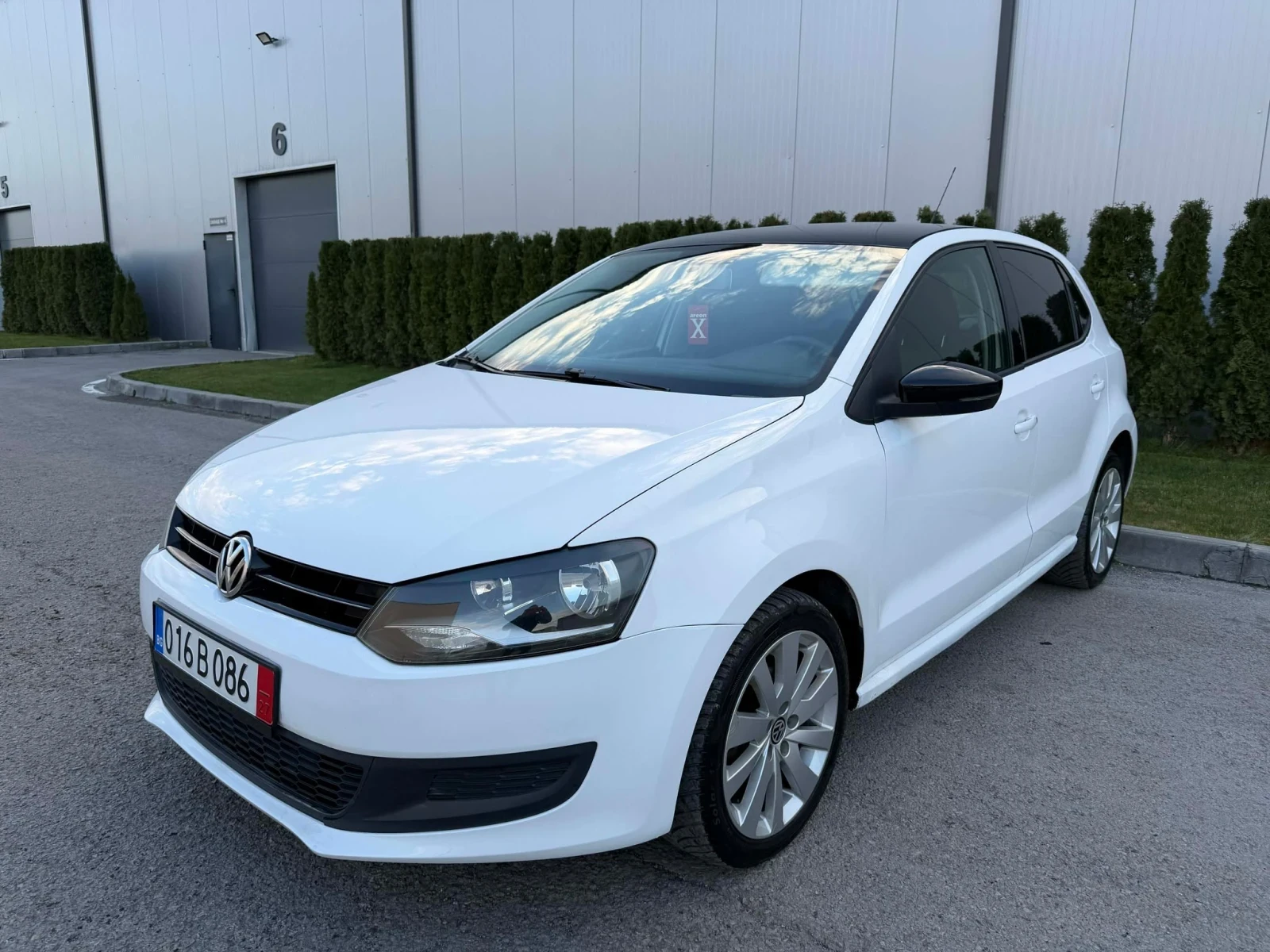 VW Polo