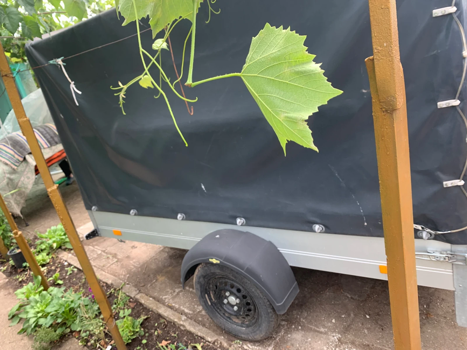 �� ��������� Humbaur | Mobile.bg � ����������� 3
