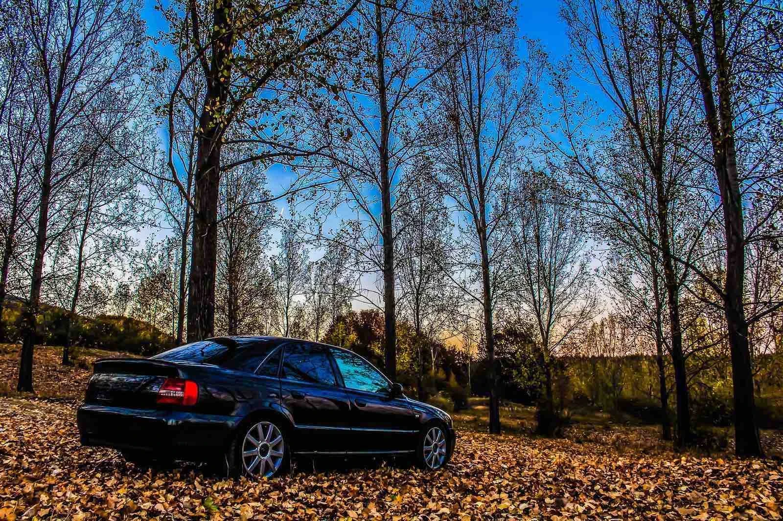 Audi A4  - изображение 2