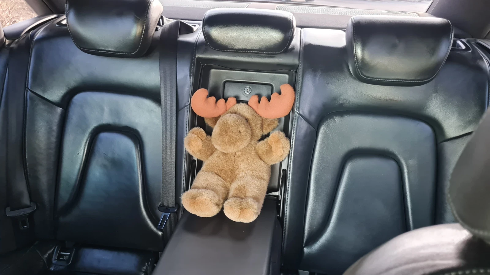 Audi A4 | Mobile.bg � ����������� 15