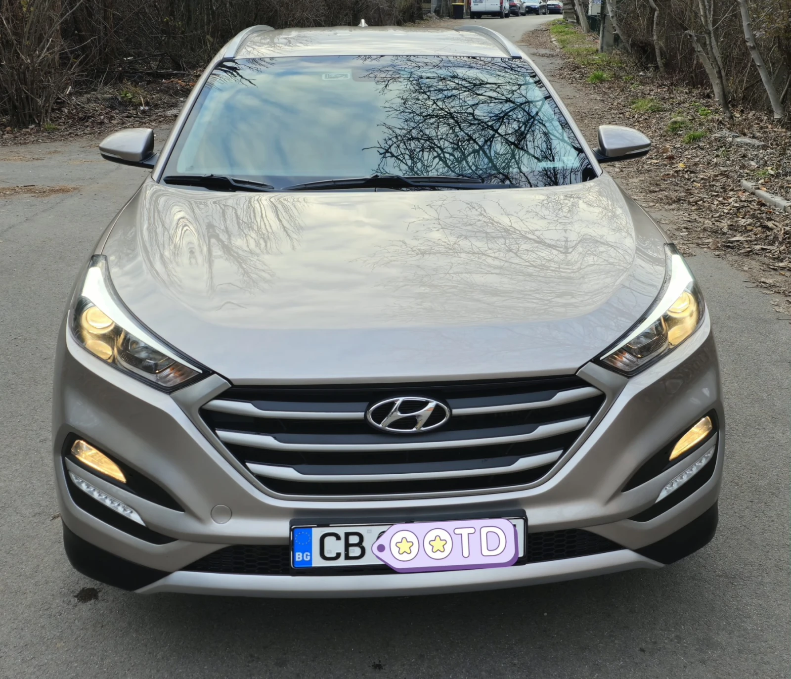 Hyundai Tucson N1 - изображение 2