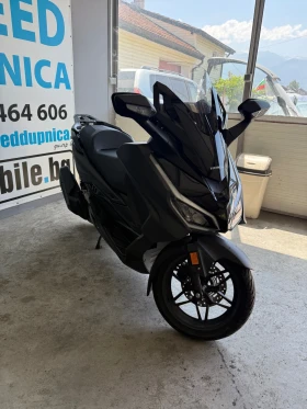     Honda Forza ABS, TCS, LED- NEW