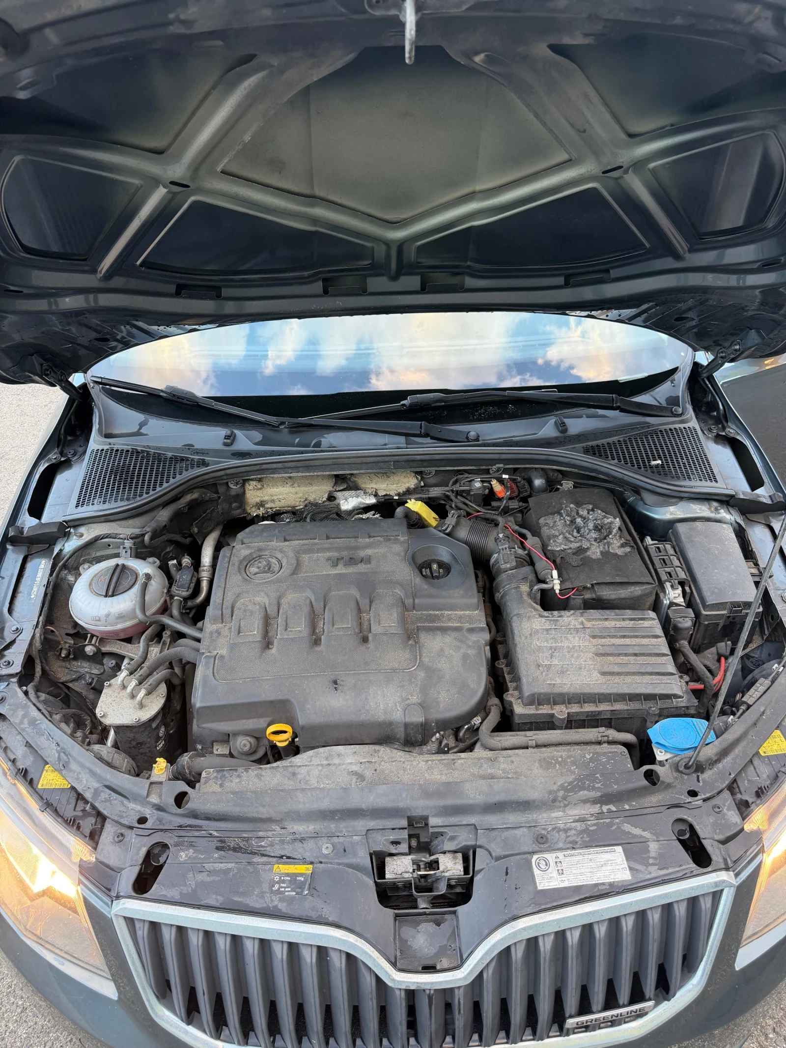 Skoda Octavia Greenline 1.6TDI, снимка 14 - Автомобили и джипове - 54825158
