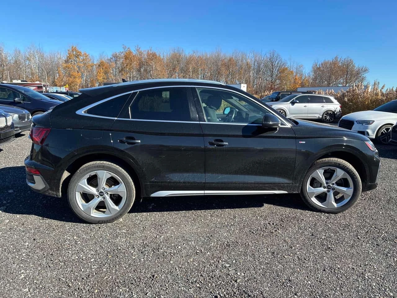 Audi Q5 Sportback/�� ����������������/����/��������� | Mobile.bg � ����������� 3