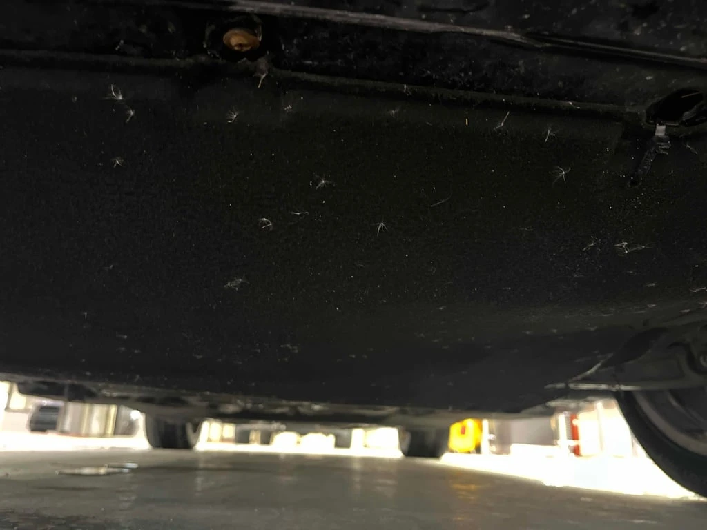 Audi Q7 * 3.0T Technik * CARFAX *    | Mobile.bg   17