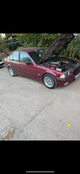     BMW 318