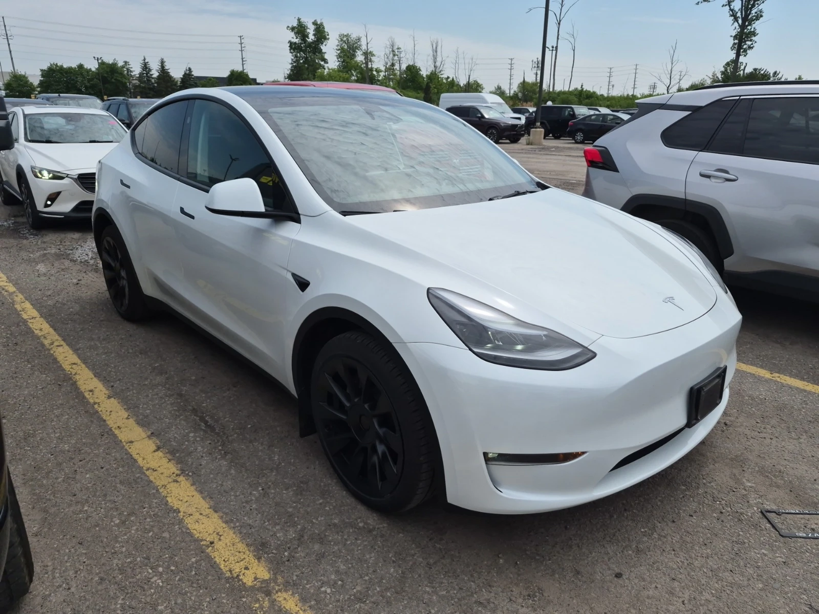 Tesla Model Y Long Range Dual Motor AWD, снимка 2 - Автомобили и джипове - 54870452