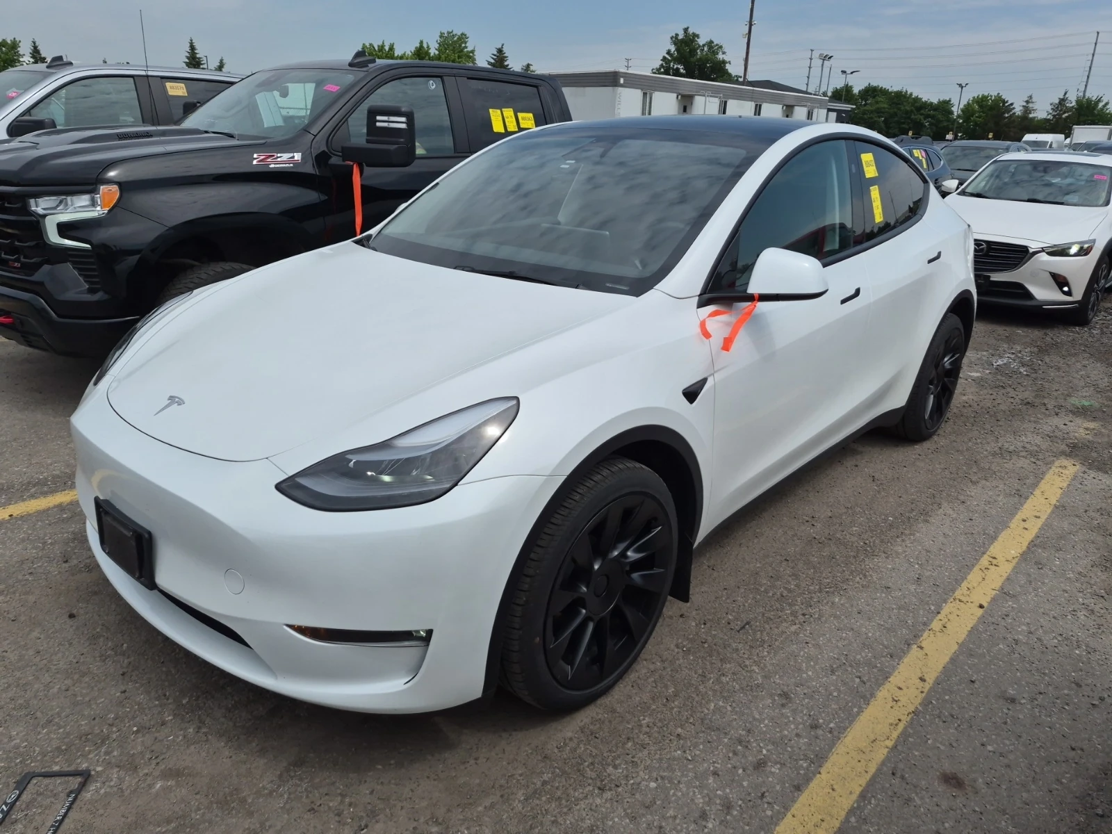 Tesla Model Y Long Range Dual Motor AWD