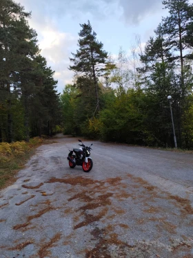 Yamaha Mt-01, снимка 5