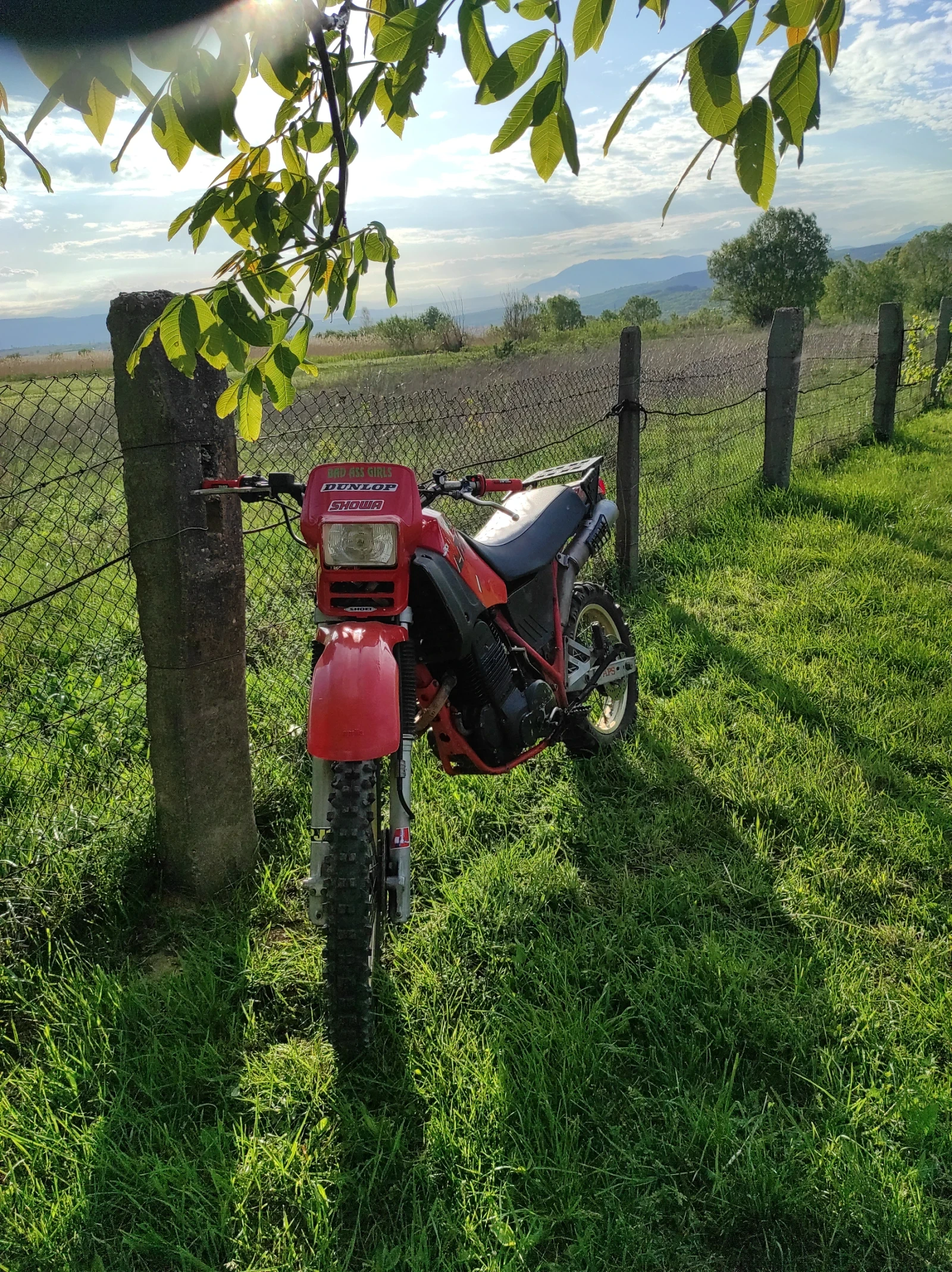 Aprilia ETX  - изображение 3