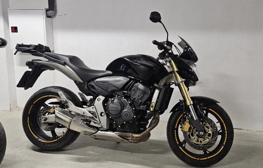Honda Hornet