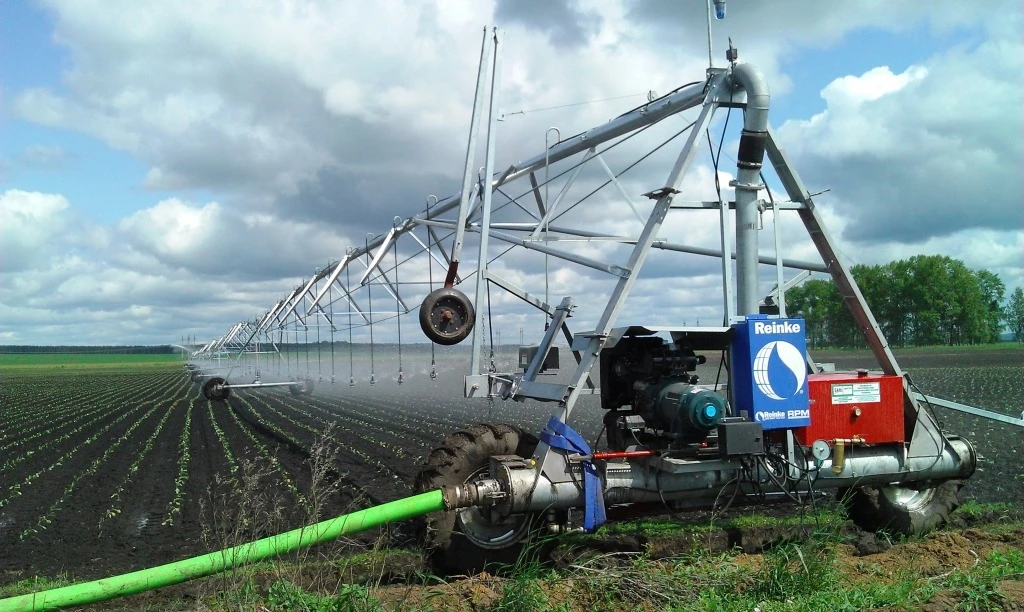     Reinke | Mobile.bg   1