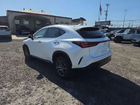 Lexus NX 350h PREMIUM | Mobile.bg    3