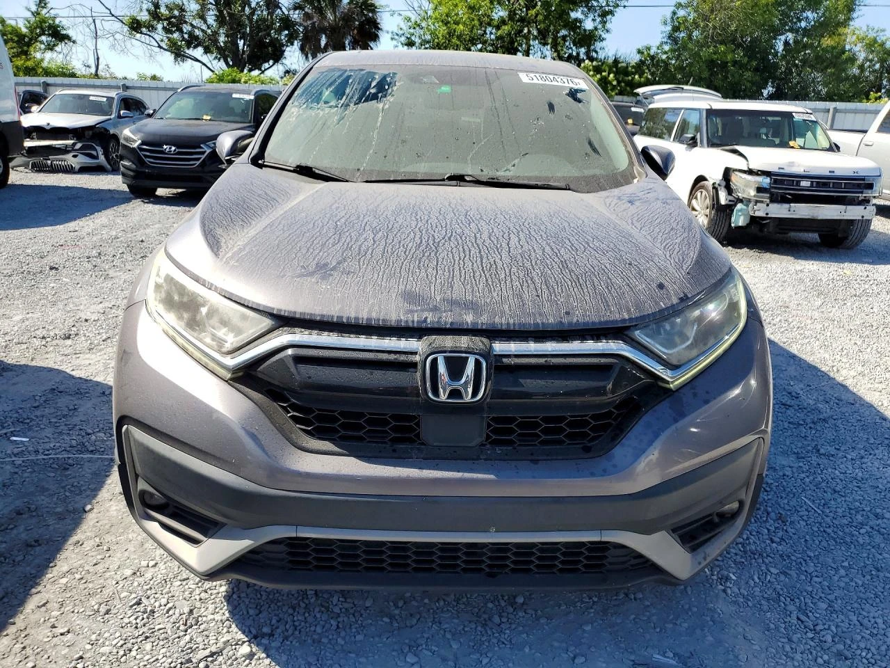 Honda Cr-v 1.5l Exl | Mobile.bg � ����������� 5
