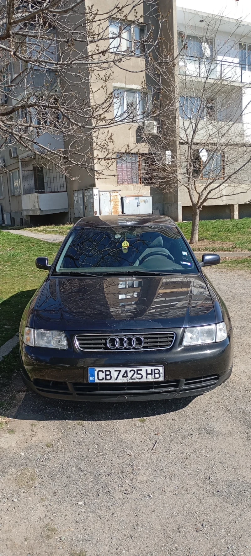 Audi A3 1.6, снимка 2 - Автомобили и джипове - 49420580