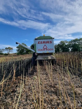 Комбайн Claas MEGA 204 4X4, снимка 5