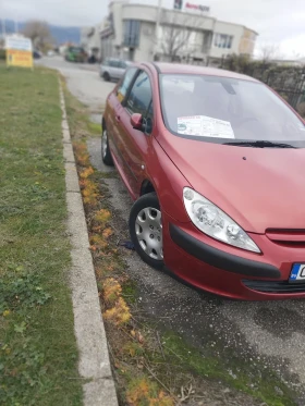  Peugeot 307