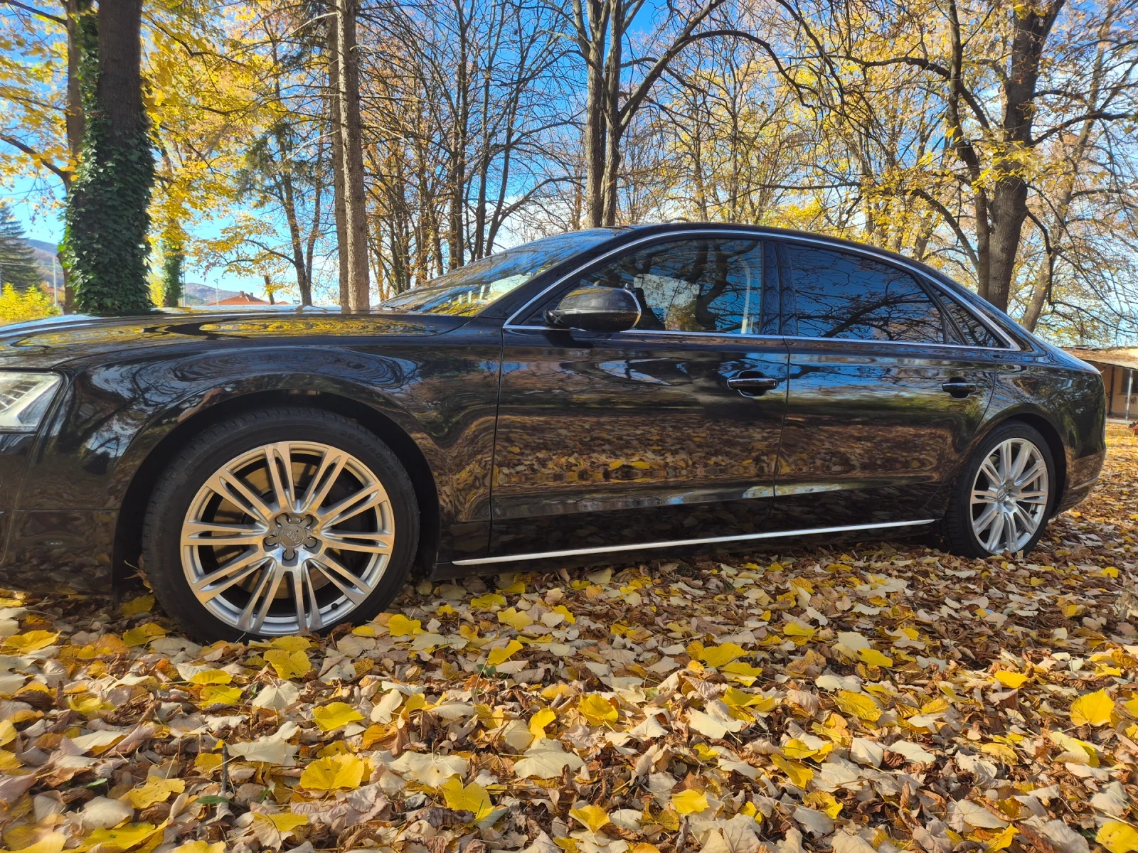 Audi A8 A8L W12 6.3  | Mobile.bg   2