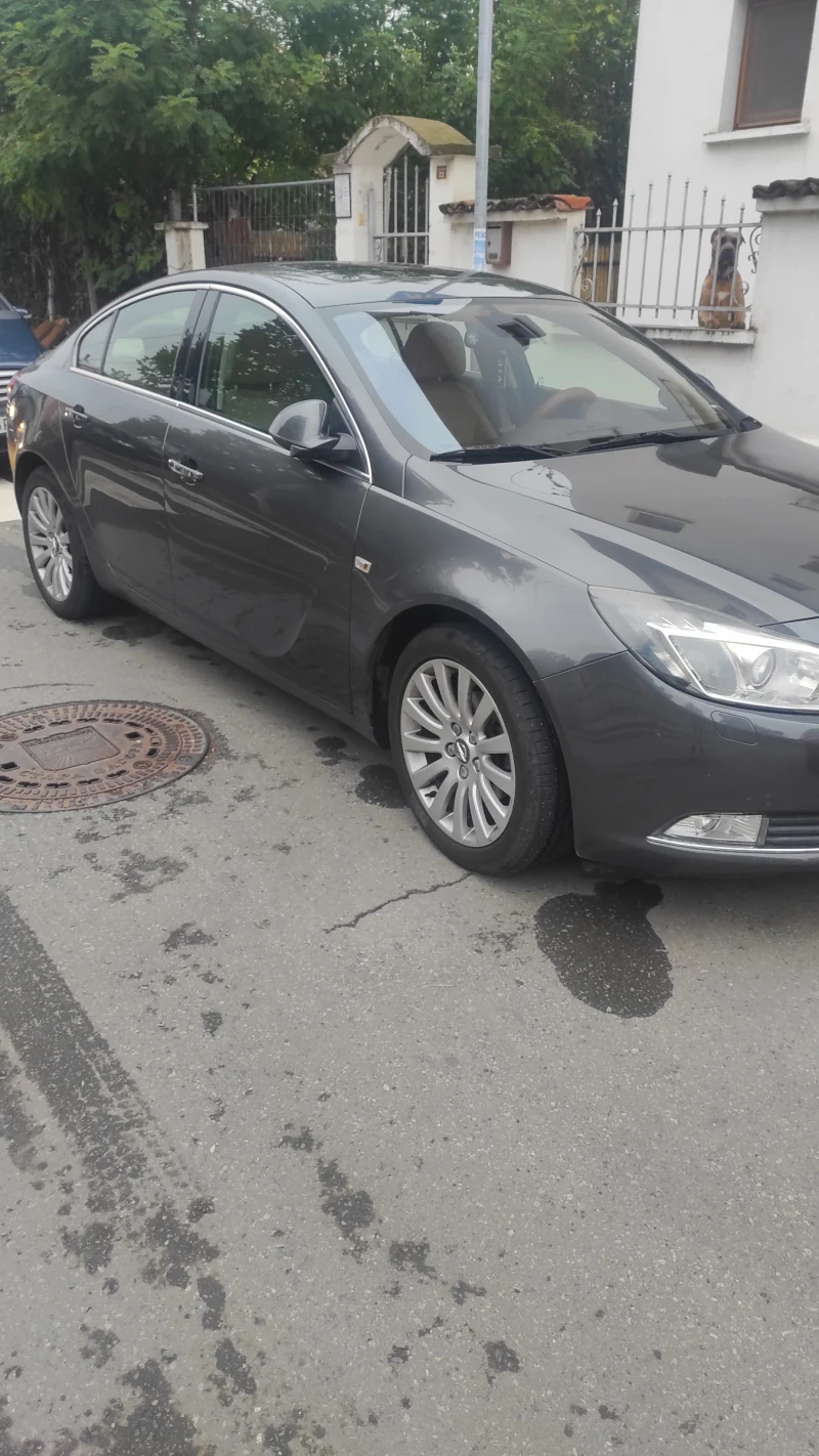 Opel Insignia, снимка 4 - Автомобили и джипове - 47831237