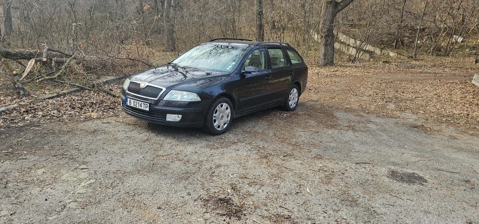 Skoda Octavia, снимка 5 - Автомобили и джипове - 56088100