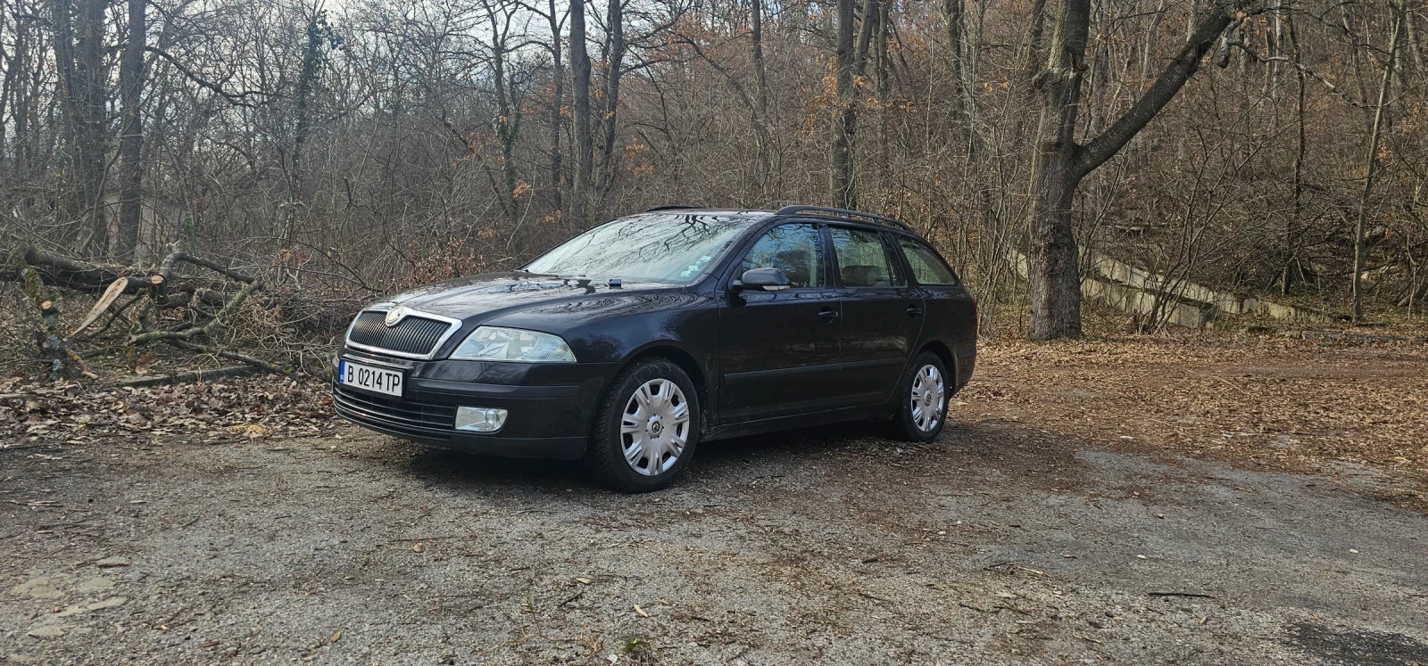 Skoda Octavia, снимка 4 - Автомобили и джипове - 56088100