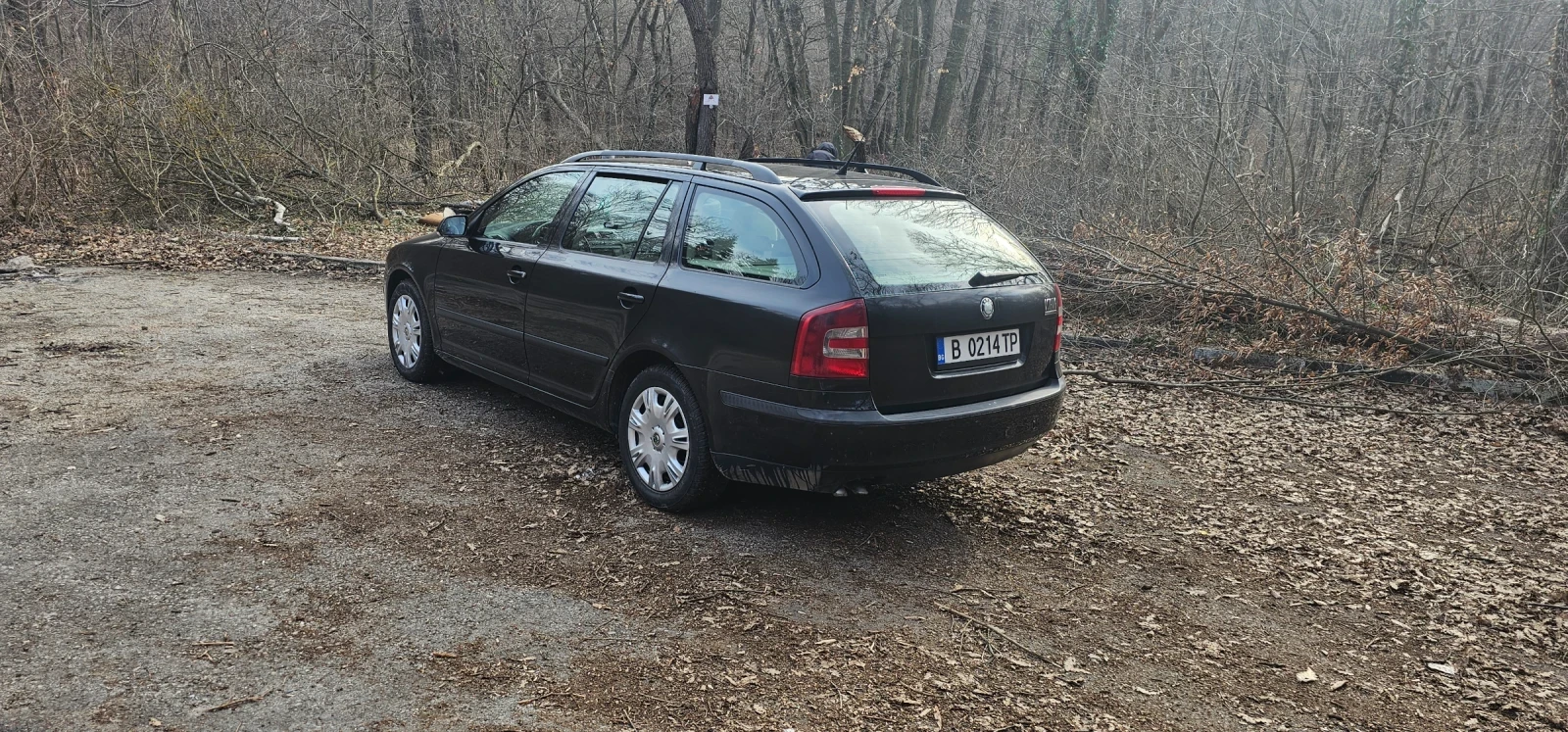 Skoda Octavia, снимка 3 - Автомобили и джипове - 56088100