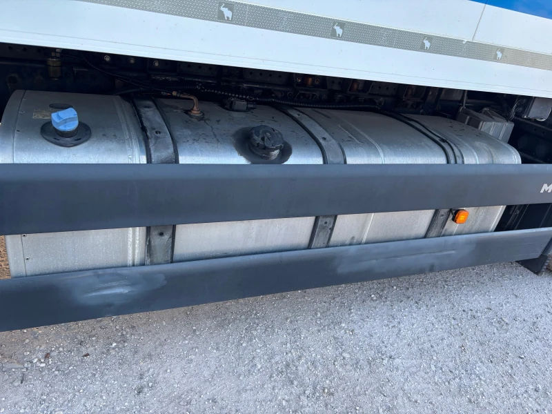 Man Tgs Хладилен , снимка 12 - Камиони - 53012575