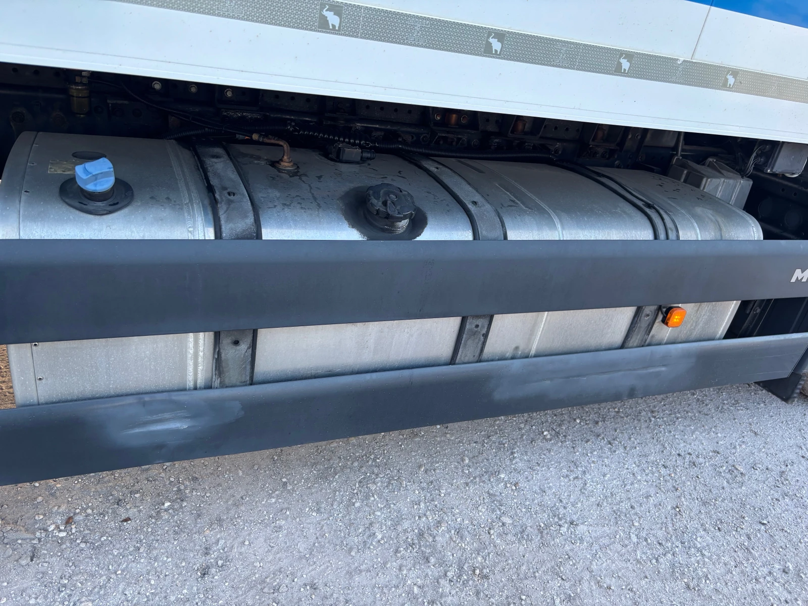 Man Tgs ��������  | Mobile.bg � ����������� 12