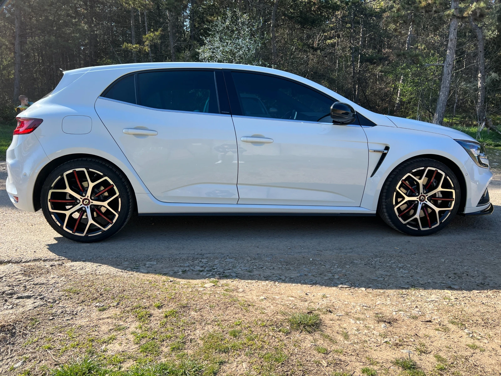 Renault Megane RS, снимка 2 - Автомобили и джипове - 55664085