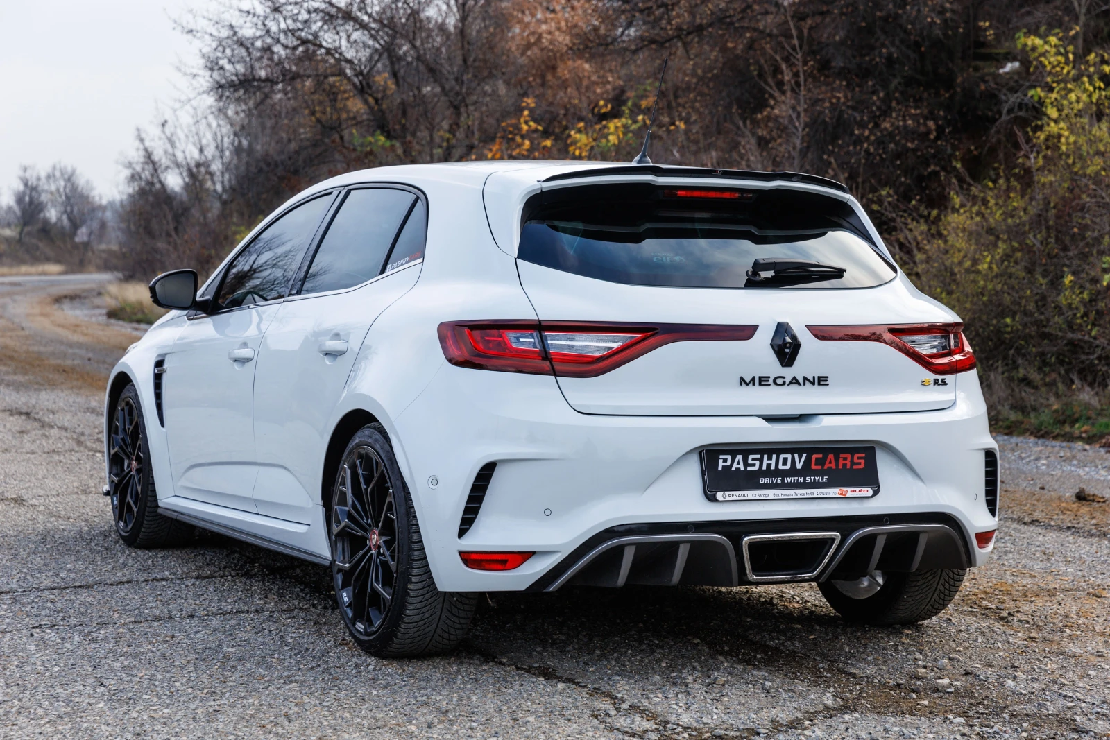 Renault Megane RS, снимка 5 - Автомобили и джипове - 55664085