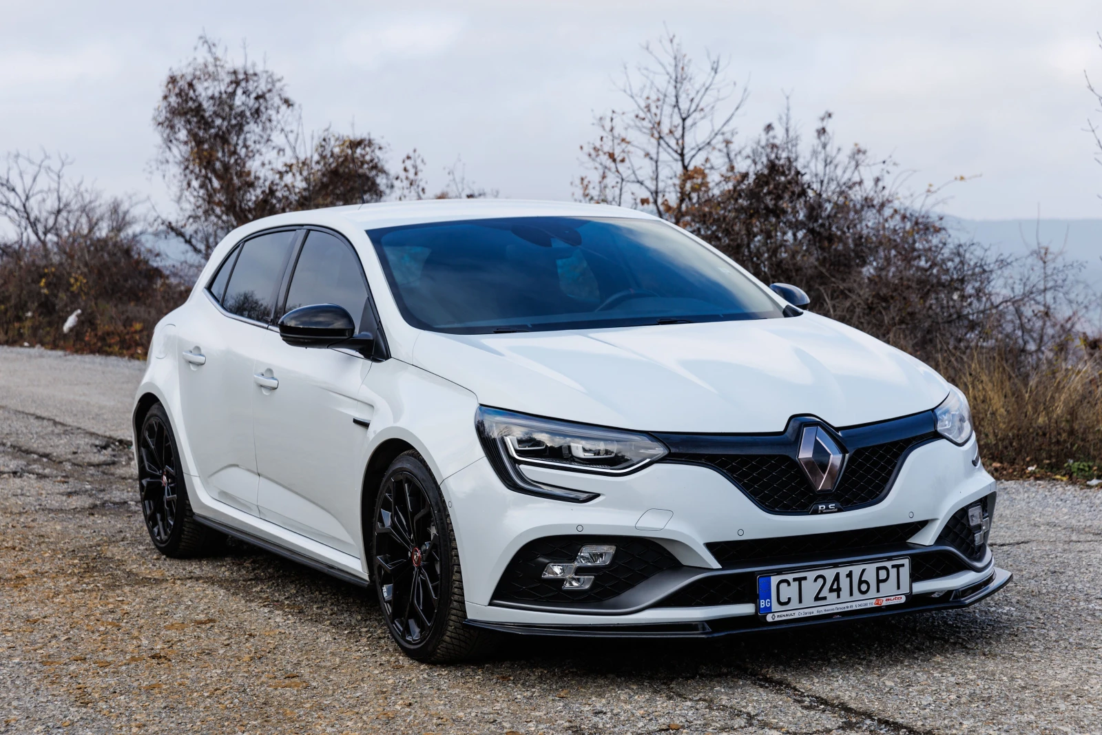 Renault Megane RS, снимка 3 - Автомобили и джипове - 55664085