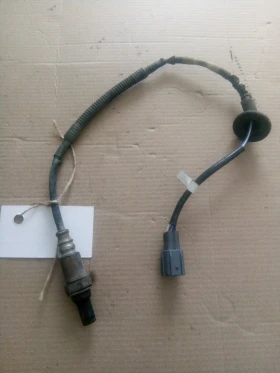 ������ ������� ������� ����...