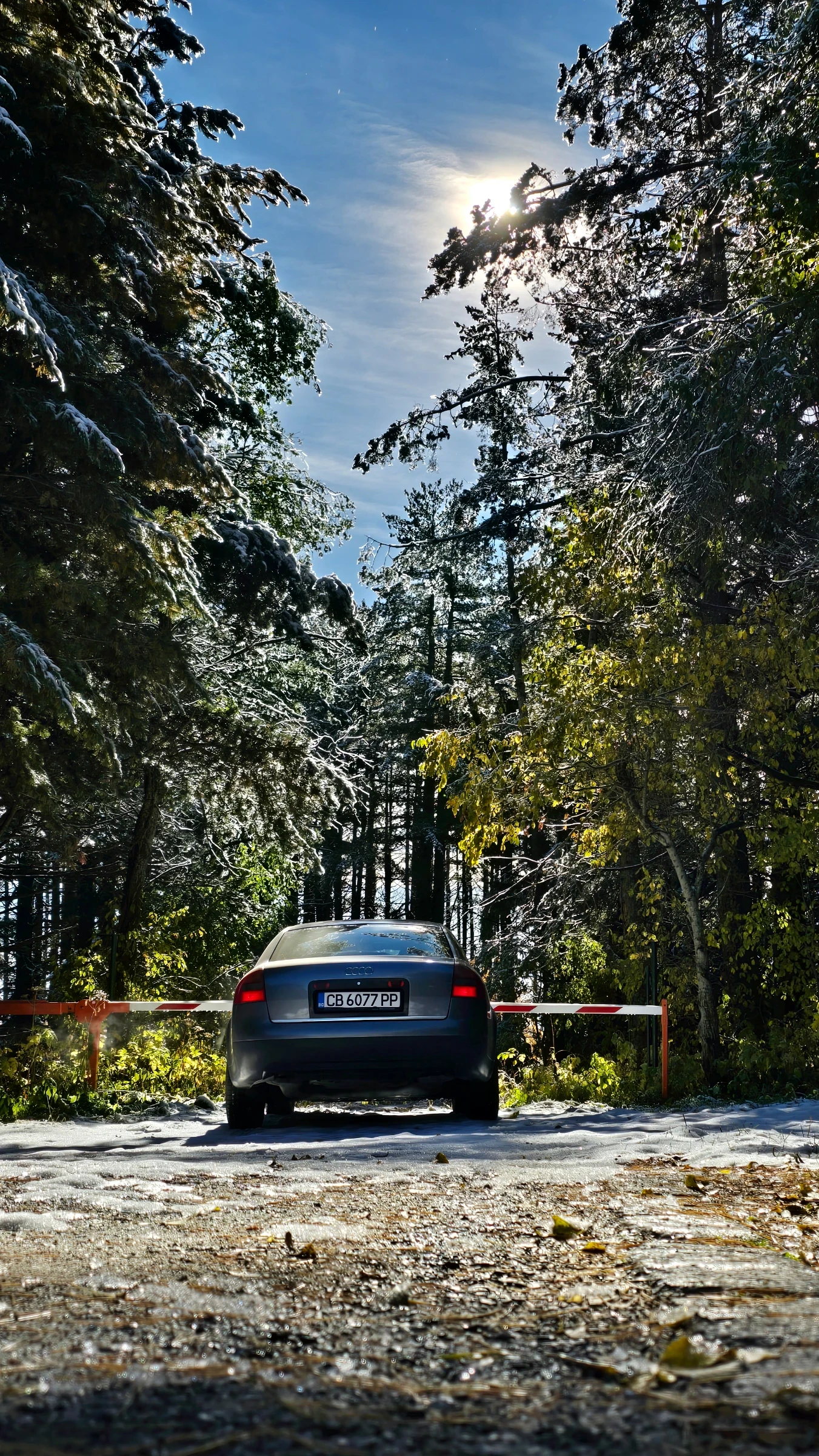Audi A6, снимка 2 - Автомобили и джипове - 56518882