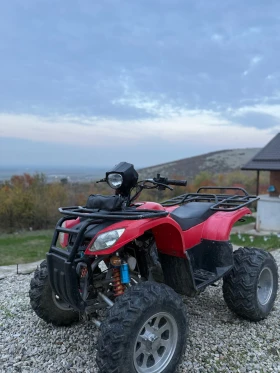 Bashan BS, снимка 4