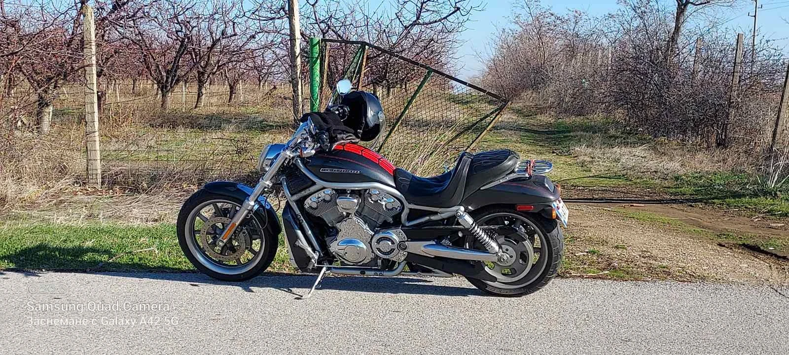 Harley-Davidson V-Rod | Mobile.bg � ����������� 6