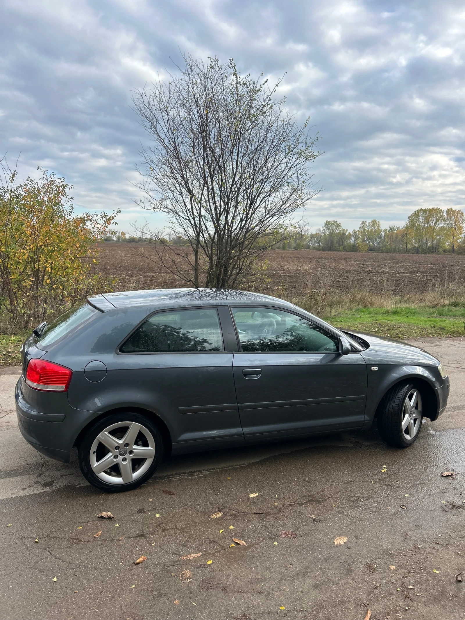 Audi A3  - изображение 2