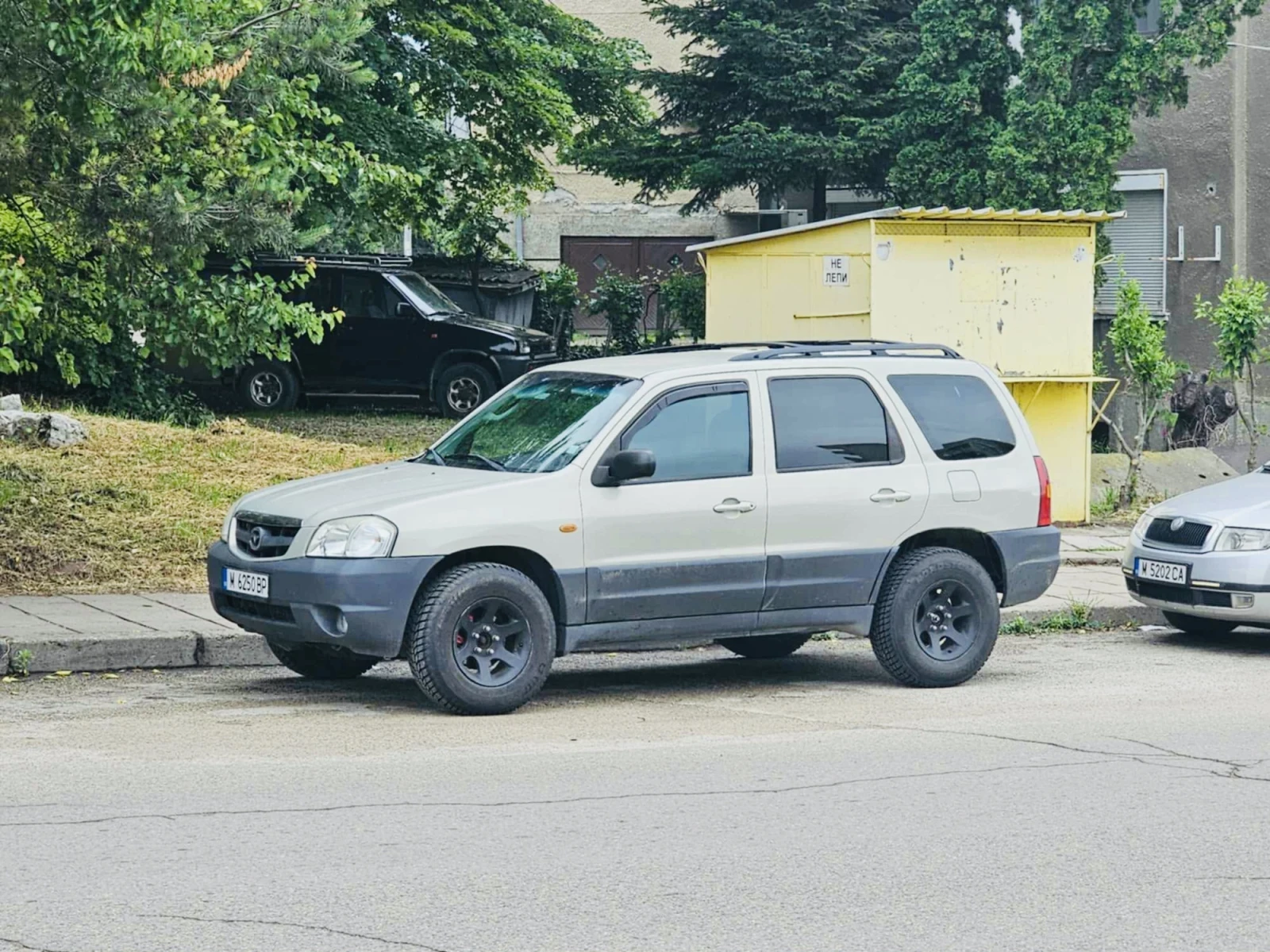Mazda Tribute