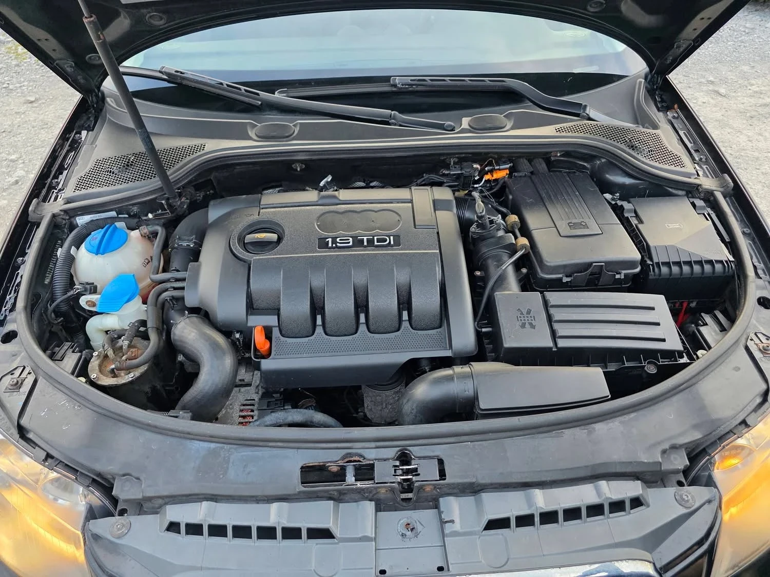 Audi A3 1.9TDI 105K.C. / ����������� / 2007 ������ | Mobile.bg � ����������� 14