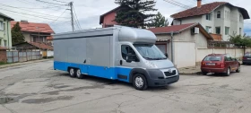 Кемпер Peugeot МАГАЗИН МЕСО МЛЕЧНИ ПРОДУКТИ РИБА, снимка 13