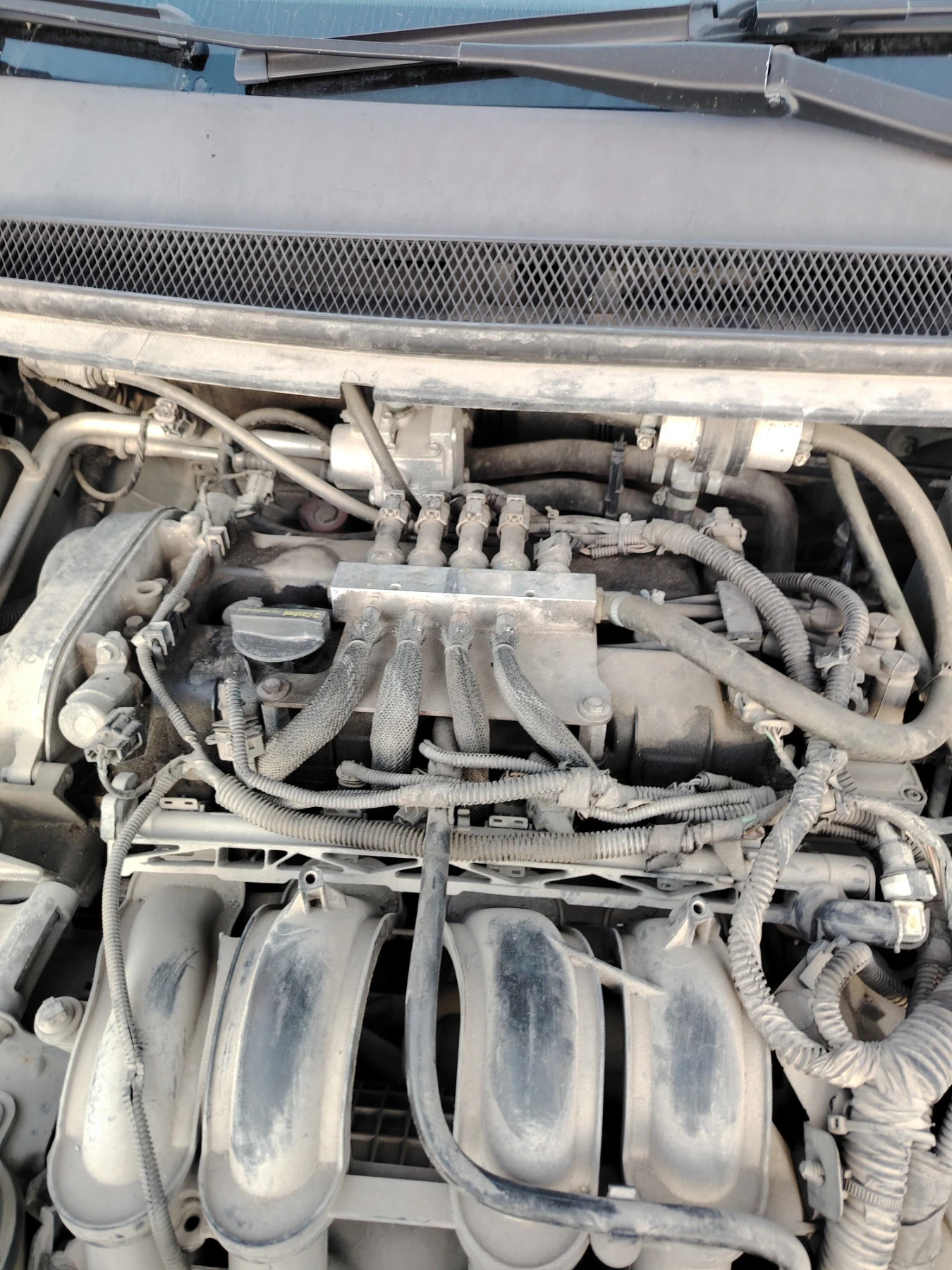 Ford Focus Форд  - изображение 5