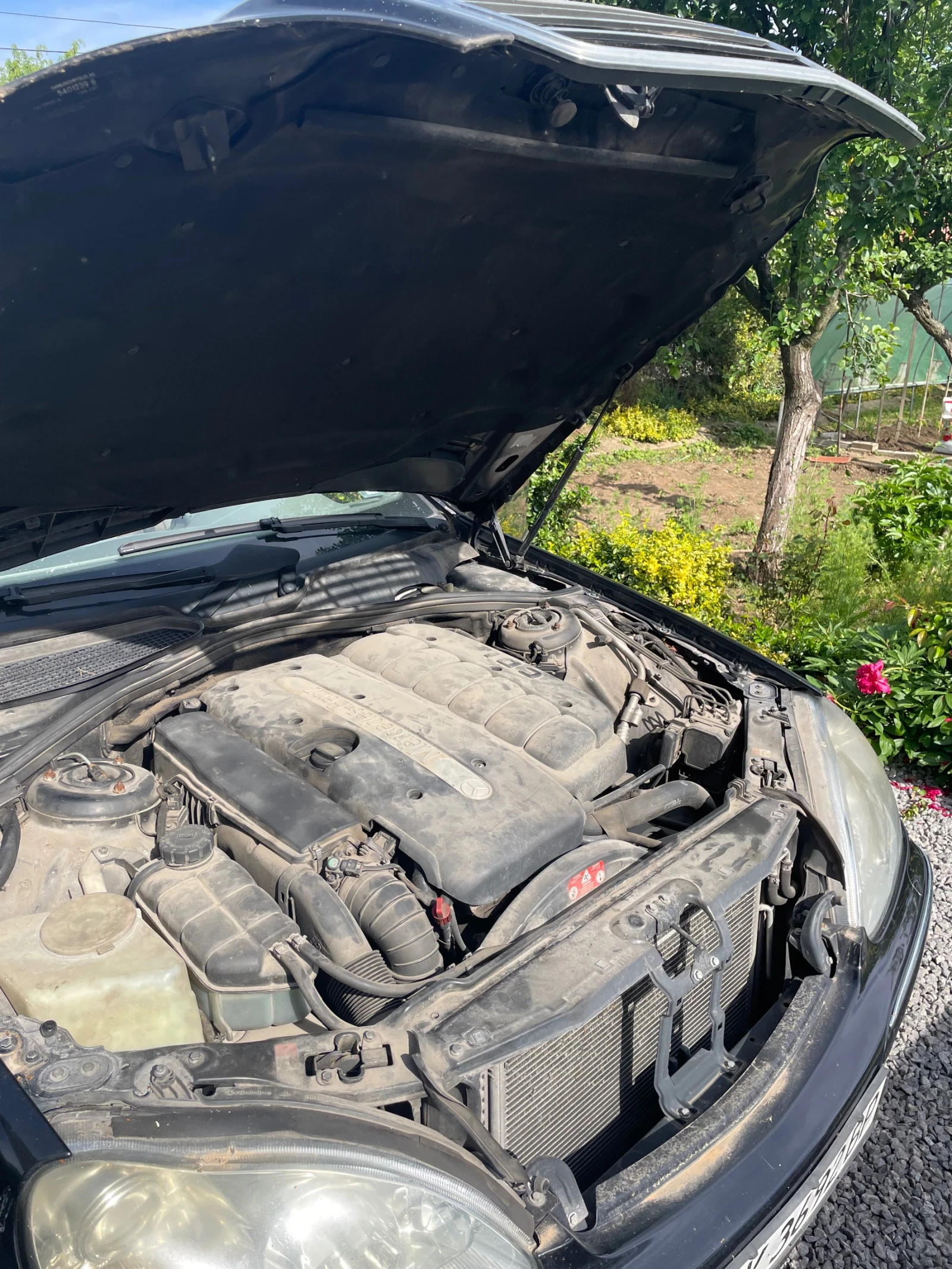 Mercedes-Benz S 320  - изображение 5