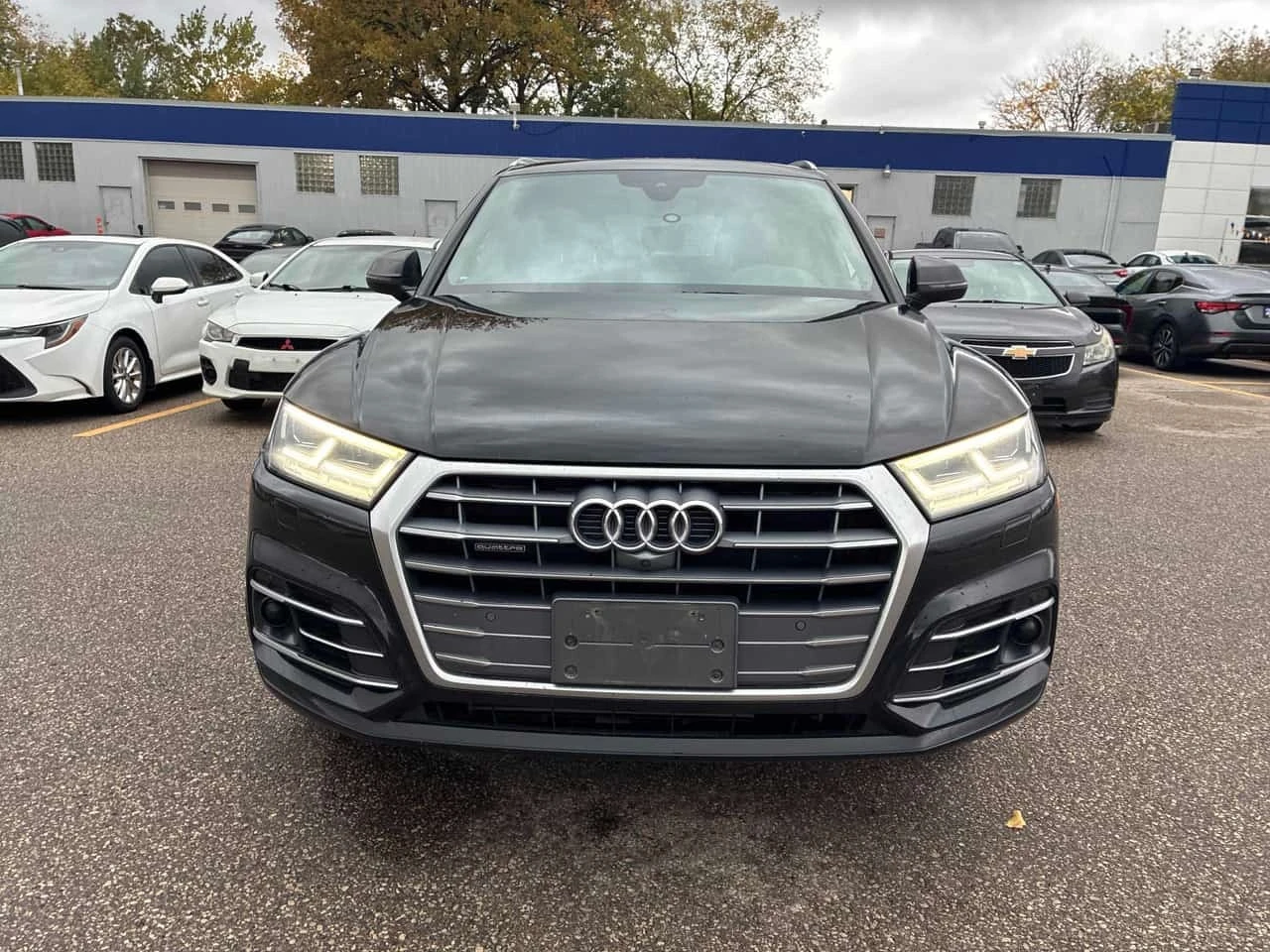 Audi Q5 * Technik * CARFAX * ���� �� �� | Mobile.bg � ����������� 2