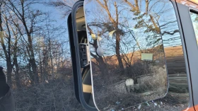 Ford Transit Custom ,   | Mobile.bg    6